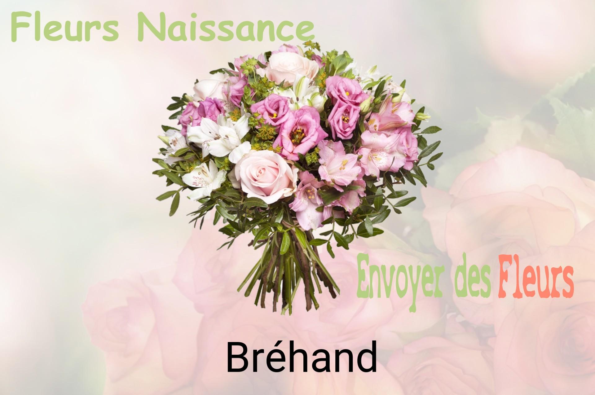 Bouquet de fleurs de naissance livré à Bréhand