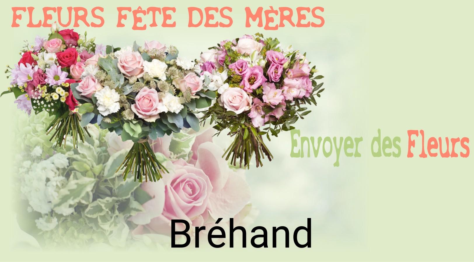 Bouquet de Fête des Mères livré à Bréhand